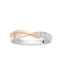 Dual-Tone Eternity Wedding Band (Female)