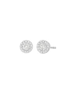 White Gold Solitaire Halo Diamond Earrings 
