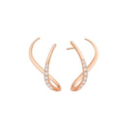 Intertwined Interplay Earrings