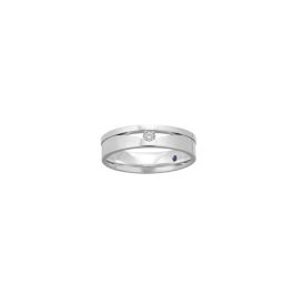 Double Banded Diamond Ring