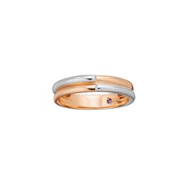 Celestial Dual-tone Wedding Ring