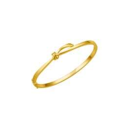 Knots of Destiny Bangle