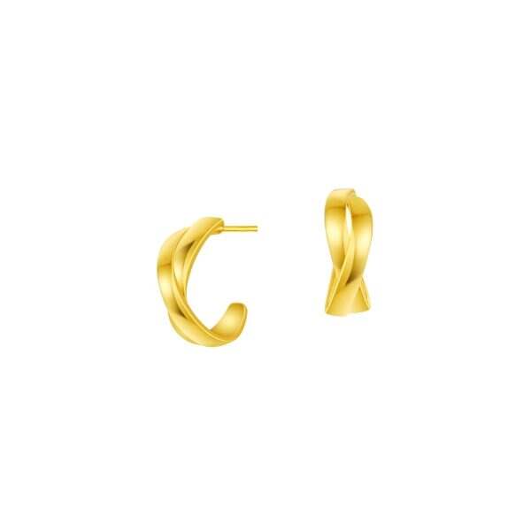 Crossed Path Earrings