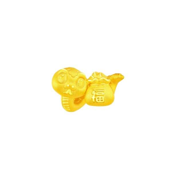 Fortune Bag Charm