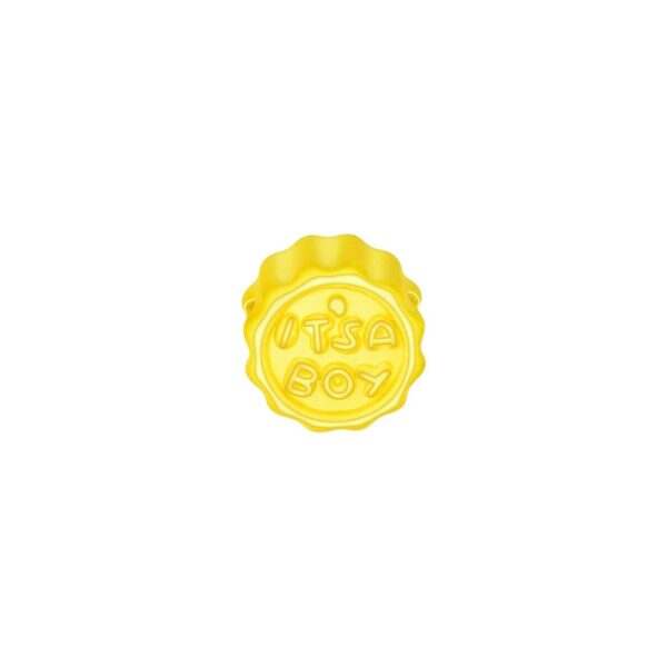 Bao Bei Boy Charm