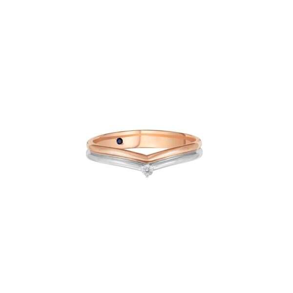 V-shaped Wedding Band (Male)