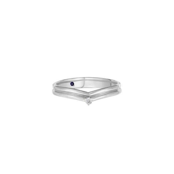 V-shaped Wedding Band (Male)
