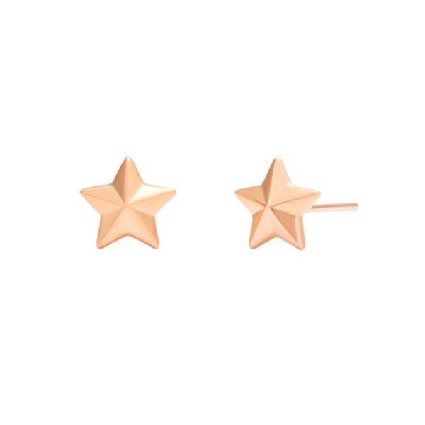 Rose Gold Star Earrings